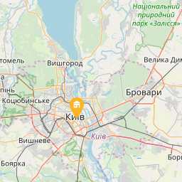 Apartment on Shovkovychna на карті